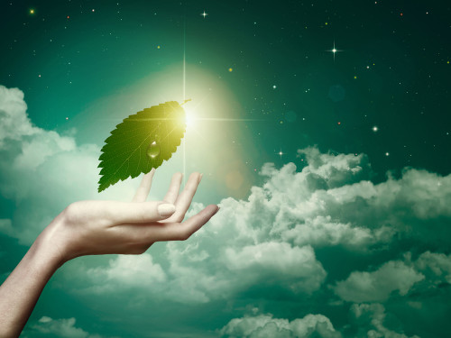 artistic vision of hand holding star and leaf