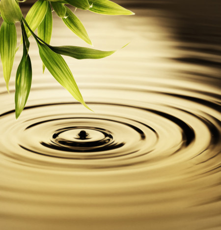 leaf over water