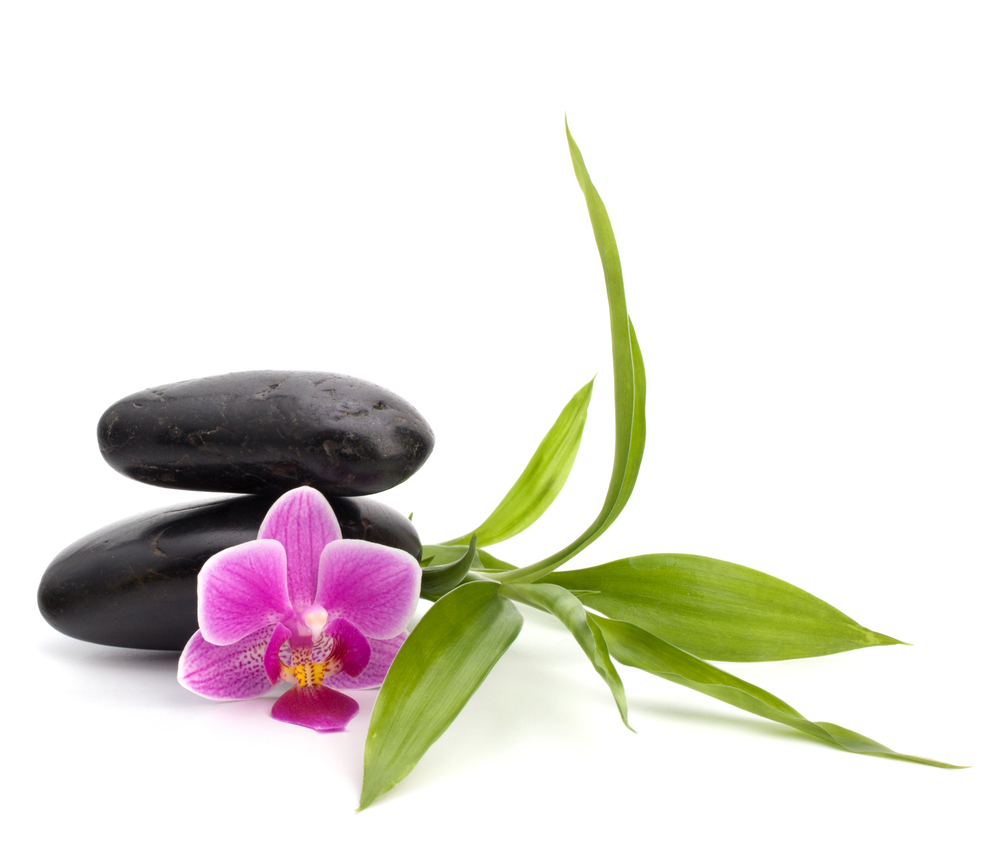 orchid with stones