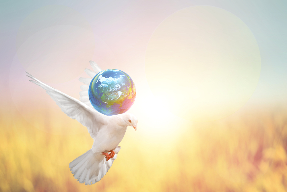 white dove with earth symbolizing world peace collective harmony